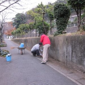 地域清掃