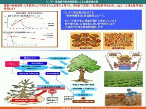 大分県経営革新計画承認事業
